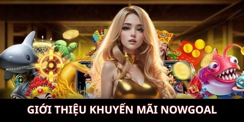 Khuyến mãi Nowgoal chi tiết