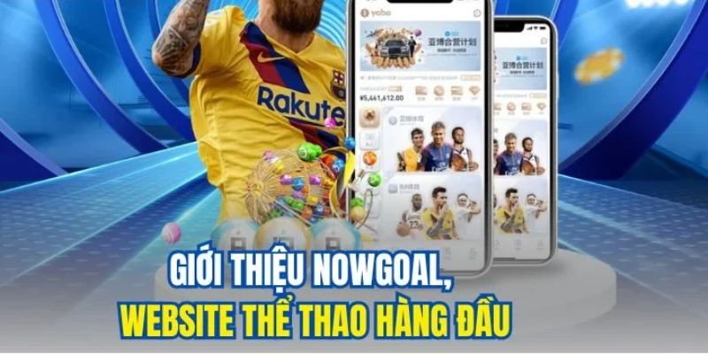 Trang cá cược bóng đá uy tín Nowgoal mẹo chơi
